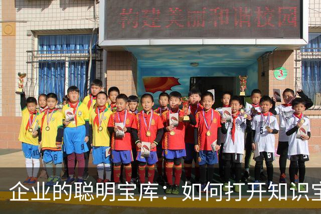 企业的聪明宝库：如何打开知识宝藏的神奇钥匙